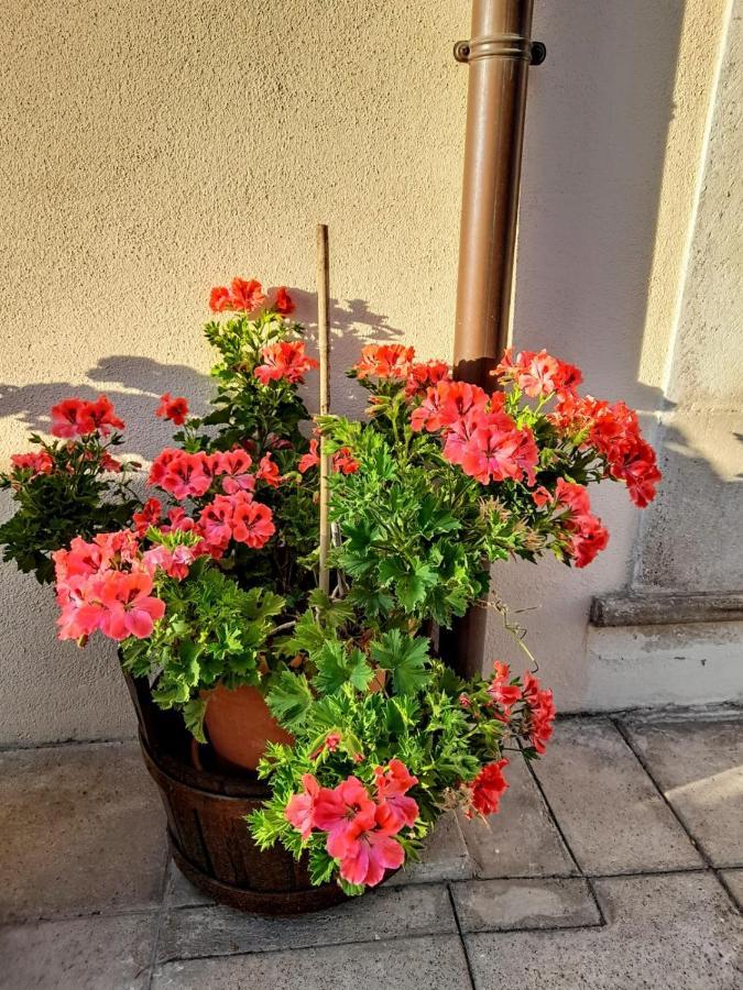B&B L'arco Fiorito San Gregorio  Esterno foto